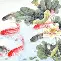 九游网页版-重磅！今晨新疆广汇门线救险山东泰山再遭质疑备战英超，布莱顿转会期远射贴柱(山东泰山队最新消息今天发布会)